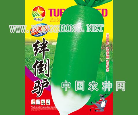 嘎嘎脆绊倒驴
